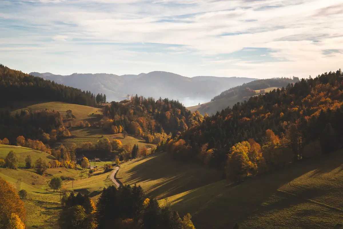 Herbstlich gefärbte Wälder und Weiden im Schwarzwald